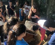 Portos do Paraná instala novas composteiras em escolas da Ilha do Mel