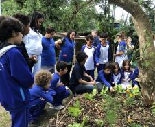 Portos do Paraná instala novas composteiras em escolas da Ilha do Mel