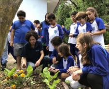 Portos do Paraná instala novas composteiras em escolas da Ilha do Mel