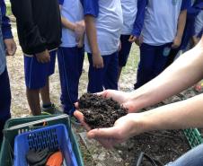 Portos do Paraná instala novas composteiras em escolas da Ilha do Mel