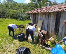 Portos do Paraná ajuda a retirar 220 quilos de resíduos de praia da Ilha do Mel