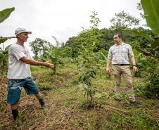 Portos do Paraná recupera área florestal equivalente a 19 campos de futebol em Antonina 