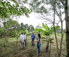 Portos do Paraná recupera área florestal equivalente a 19 campos de futebol em Antonina 