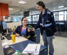 Portos do Paraná reforça cuidados contra a dengue no verão