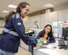 Portos do Paraná reforça cuidados contra a dengue no verão