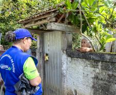 Mutirão da Portos do Paraná retira mais de meia tonelada de resíduos em Antonina