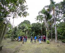 Portos do Paraná oferece oficina gratuita para coleta e despolpa de açaí juçara