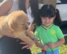 Portos do Paraná exalta portuárias neste Dia das Mães