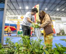 Portos do Paraná apresenta projetos de educação ambiental na Semana do Meio Ambiente 