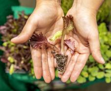 Portos do Paraná apresenta projetos de educação ambiental na Semana do Meio Ambiente 
