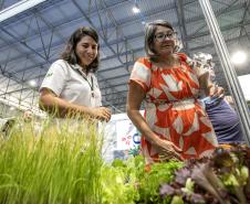 Portos do Paraná apresenta projetos de educação ambiental na Semana do Meio Ambiente 