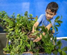 Portos do Paraná apresenta projetos de educação ambiental na Semana do Meio Ambiente 