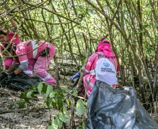 Mutirão de limpeza de manguezais da Portos do Paraná recolhe mais de 600 quilos de resíduos 