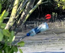 Mutirão de limpeza de manguezais da Portos do Paraná recolhe mais de 600 quilos de resíduos 