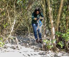 Mutirão de limpeza de manguezais da Portos do Paraná recolhe mais de 600 quilos de resíduos 