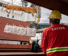 Portos do Paraná celebra o Dia do Estivador 