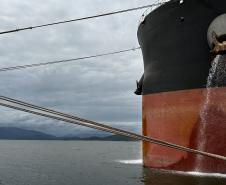 Ballast water