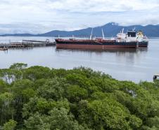 Porto de Paranaguá movimentou 72% da carga nacional de óleo de soja em janeiro