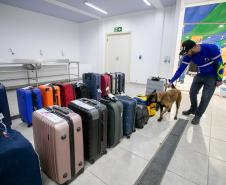 Mais de 19 mil cruzeiristas e tripulantes da segunda temporada passaram pelo Paraná
