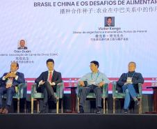 Portos do Paraná discute oportunidades comerciais na China