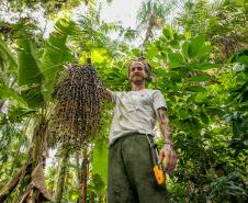 #praquemnaopodever homem de camisa branca e calça verde segura cacho com frutas de açaí juçara. A imagem mostra de baixo para cima e as arvores atras saltam aos olhos com seus galhos e folhas e verdes.