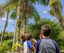 2ª Oficina da Portos do Paraná sobre coleta e despolpa do açaí juçara é realizada no litoral 