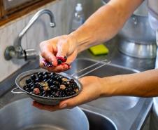 2ª Oficina da Portos do Paraná sobre coleta e despolpa do açaí juçara é realizada no litoral 