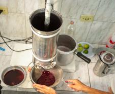 2ª Oficina da Portos do Paraná sobre coleta e despolpa do açaí juçara é realizada no litoral 