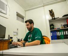 Gato Marcelo é o “funcionário pet” do Moegão, a maior obra portuária do Brasil