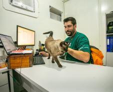 Gato Marcelo é o “funcionário pet” do Moegão, a maior obra portuária do Brasil
