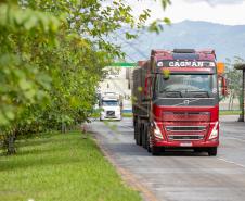 Porto de Paranaguá recebe o maior volume de caminhões da história no Pátio de Triagem