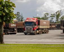 Porto de Paranaguá recebe o maior volume de caminhões da história no Pátio de Triagem