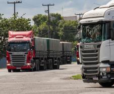 Porto de Paranaguá recebe o maior volume de caminhões da história no Pátio de Triagem