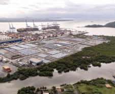 Porto de Paranaguá é o 1º a receber veículos elétricos fabricados por gigante chinesa que retoma vendas no Brasil