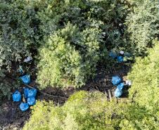 Mutirão remove mais de meia tonelada de lixo dos manguezais em Paranaguá