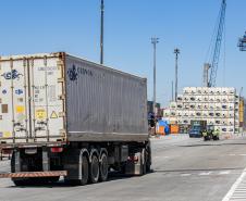 Com 44% da exportação nacional de frango, Porto de Paranaguá é o principal exportador de carnes brasileiras 