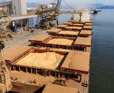 Porto de Paranaguá lidera exportações de soja e amplia participação de mercado em farelo e proteínas animais