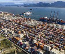 Porto de Paranaguá lidera exportações de soja e amplia participação de mercado em farelo e proteínas animais