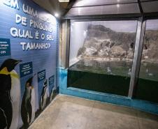 Portos do Paraná investe em manutenção e reforma do Aquário de Paranaguá