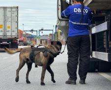 Simulado de combate ao tráfico de drogas no Porto de Paranaguá utiliza cães farejadores