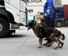 Simulado de combate ao tráfico de drogas no Porto de Paranaguá utiliza cães farejadores