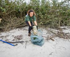 Mutirão de Limpeza das Praias da Ilha do Mel recolhe quase 11 toneladas de resíduos