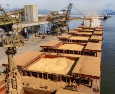 Soja responde por 21% da movimentação anual e lidera exportações nos portos do Paraná