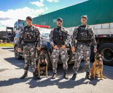 Cães farejadores apoiam Operação Faro no Pátio de Triagem da Portos do Paraná