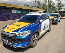 Cães farejadores apoiam Operação Faro no Pátio de Triagem da Portos do Paraná