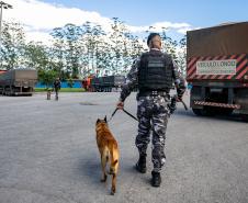 Cães farejadores apoiam Operação Faro no Pátio de Triagem da Portos do Paraná