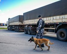 Cães farejadores apoiam Operação Faro no Pátio de Triagem da Portos do Paraná