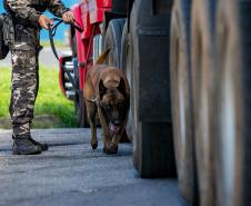 Cães farejadores apoiam Operação Faro no Pátio de Triagem da Portos do Paraná