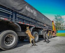 Cães farejadores apoiam Operação Faro no Pátio de Triagem da Portos do Paraná