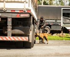 Cães farejadores apoiam Operação Faro no Pátio de Triagem da Portos do Paraná